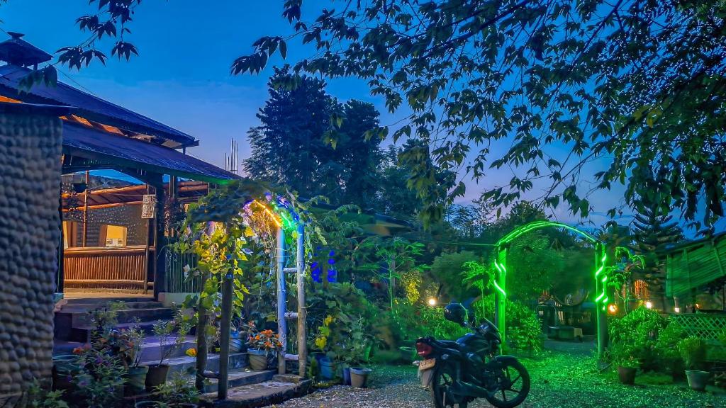 Restaurant entrance at night with decorative lights and plants