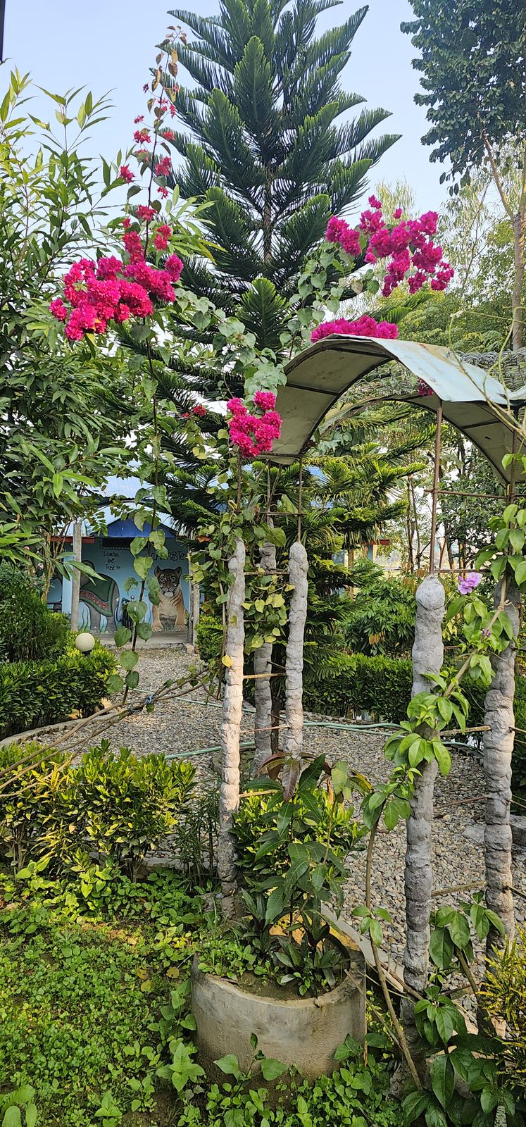 Flowers and greenery around the local surroundings