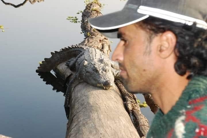 Bird and nature encounter
