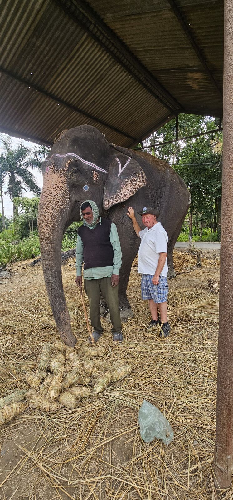 Elephant experience with guests